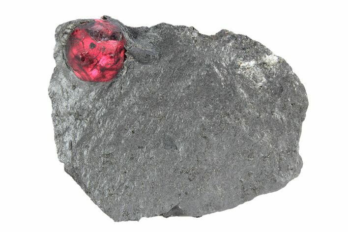 Red Embers Garnet in Graphite - Massachusetts #301108